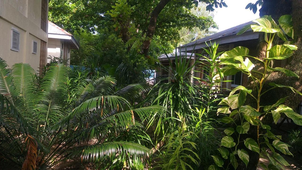 Hotel The Shark'S Tail Dive Center Daanbantayan Exterior foto